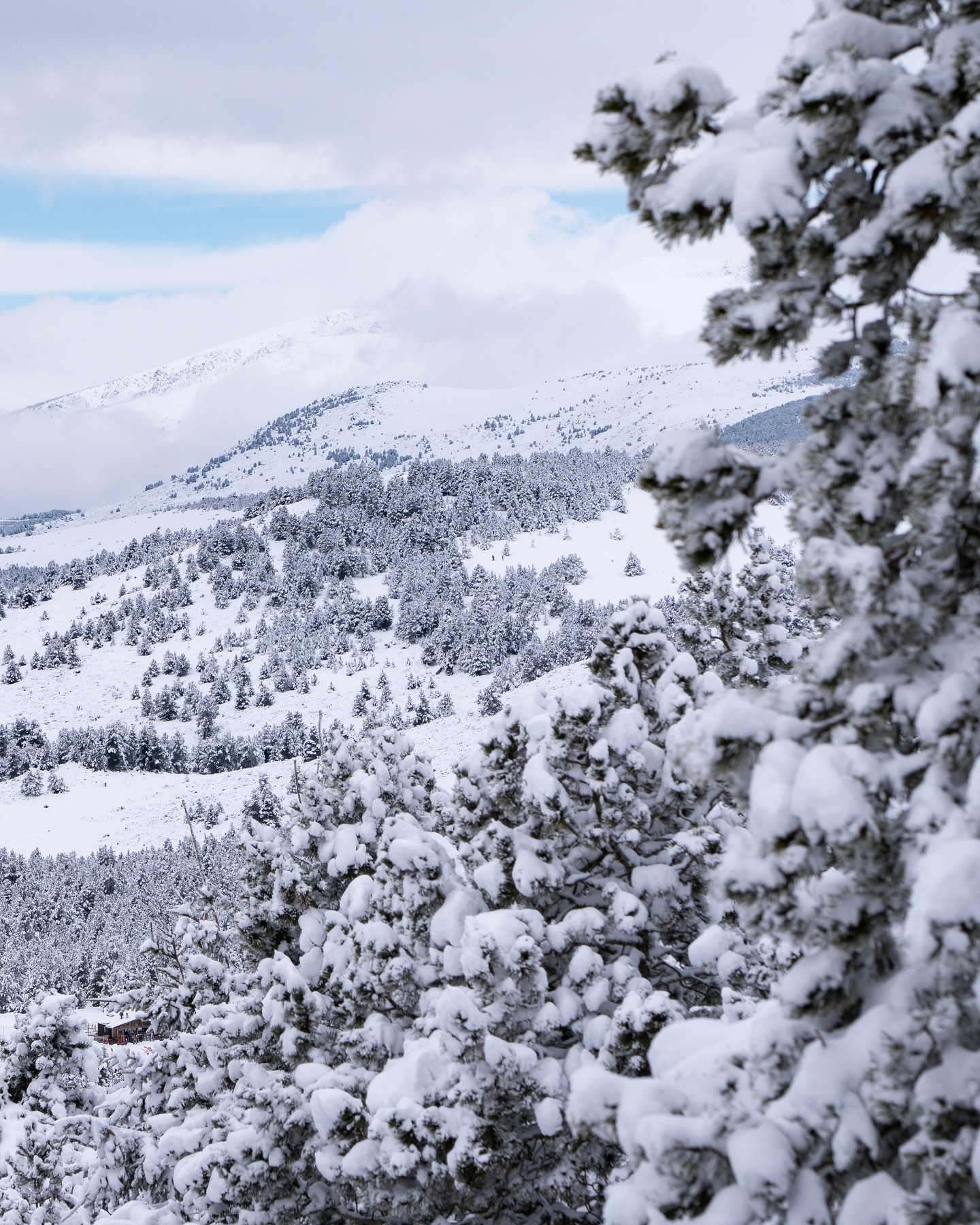 Nouvelle livraison de neige en mars à Bolquère Pyrénées 2000